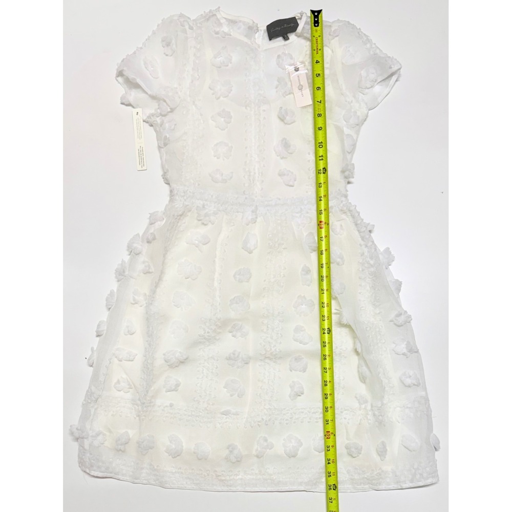 Sunday in Brooklyn Anthropologie Ivory 3D Floral Applique Mini Dress Size 4 NEW
